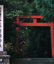 新富士山D線精品小團一日遊