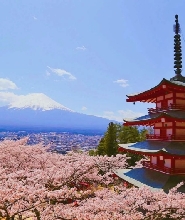 富士山G線精品小團一日遊