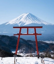 富士山L線一日遊：天空鳥居+大石公園+富嶽風穴+鳴澤冰穴++FUJIYAMA溫泉
