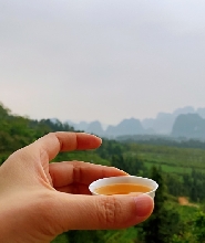 清遠英西峰林·T三有機茶園