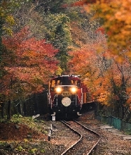 大阪出發 | 嵯峨野小火車賞楓之旅與導覽一日遊