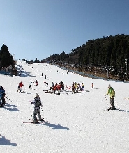 大阪出發 | 關西滑雪度假遊-神戶六甲山玩雪滑雪溫泉一日遊（每日發團，4人成行）