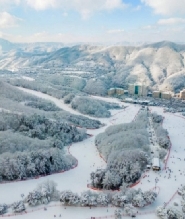 首爾出發 | 維瓦第度假村滑雪一日遊