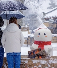 首爾出發| 魚飛溪谷冰川 + 羊駝牧場 + 南怡島 + 江村鐵道一日遊