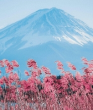 東京出發 | 富士山五合目、箱根和御殿場奧特萊斯一日遊（含午餐）