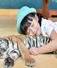 老虎園 Tiger Park