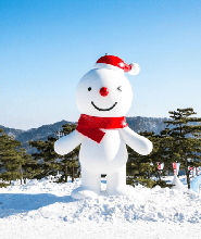 首爾出發 | 鮮採草莓+洪川大明冰雪世界雪橇+魚飛溪谷冰川一日遊