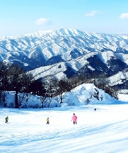 大阪出發 | 關西箱館山&奧伊吹滑雪溫泉度假別墅二日遊（每日發團）