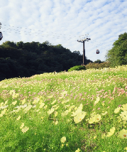 神戶布引香草園門票