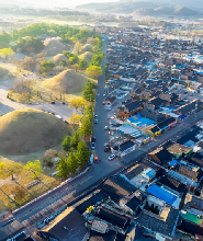慶州半日精華遊：佛國寺, 皇理團路 & 國立慶州博物館