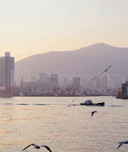 釜山多彩之旅：天空膠囊列車, 札嘎其市場 & 港灣夜景一日遊