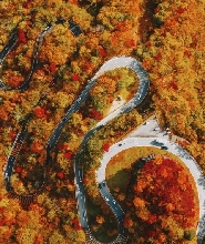 日光東照宮 & 伊呂波山道 & 中禪寺湖 & 華嚴瀑布一日遊