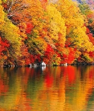 東京/新宿出發| 日光東照宮 伊呂波山道 中禪寺湖 華嚴瀑布一日遊