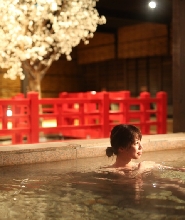 日本有馬溫泉 太閤之湯