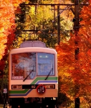 日本比叡山電車 & 纜車單程車票