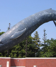 日本國立科學博物館門票