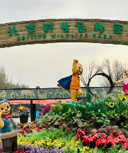 北京野生動物園門票
