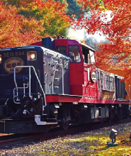 日本嵐山嵯峨野觀光小火車車票