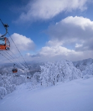 札幌出發 | 札幌國際滑雪1日遊 (中英文教學、酒店接送、專業攝影）