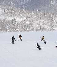 札幌出發 | 札幌國際滑雪1日遊 (中英文教學、專業攝影）