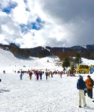 東京出發 | Katashina高原玩雪＆天然溫泉/採草莓特色一日遊（15人成團）