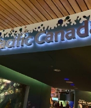 溫哥華水族館門票(Vancouver Aquarium)