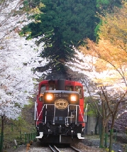 嵯峨野觀光鐵道-遊覽小火車（嵯峨-龜岡站）