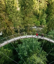 加拿大溫哥華市區一日遊(唐人街+皮卡拉諾吊橋公園+史丹利公園)