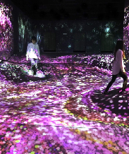 福岡teamLab森林美術館門票