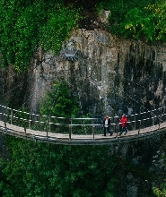 溫哥華卡皮拉諾吊橋公園(Capilano Suspension Bridge Park)
