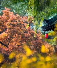 上海大觀園門票
