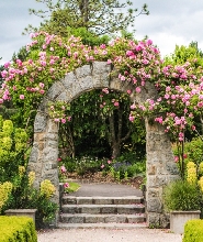 溫哥華範度森植物園(VanDusen Botanical Garden)