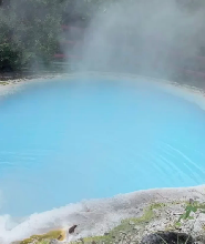 別府竈地獄溫泉門票