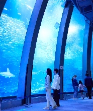 橫濱八景島海島樂園門票