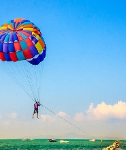 小珊瑚島半日／一日遊（芭堤雅出發）