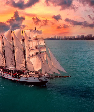 新加坡皇家信天翁城市燈光和日落晚餐郵輪