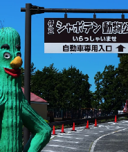 伊豆大室山城崎海岸觀海列車一日遊