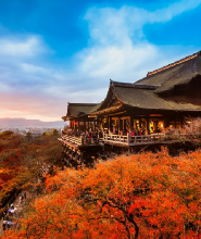 京都奈良萌鹿A線一日遊