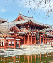 奈良宇治萌鹿抹茶溫泉B線一日遊（每組贈送鹿餅1份）