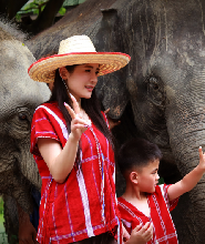 曼谷大象園（含接送）