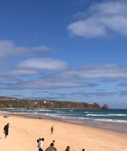 墨爾本企鵝島一日遊