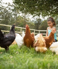 黃金海岸天堂農莊