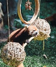 廣州動物園（4A級風景區）