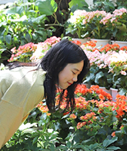 濟州如美地植物園