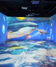 京畿道果川 Wonder Park神奇樂園