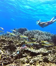 沖繩石垣島海龜浮潛半日遊
