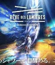日本RÊVE DES LUMIÈRES(光之夢)門票
