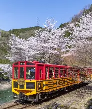 【京都出發】嵯峨野小火車＆保津川遊船&嵐山自助餐＆自由散策一日遊