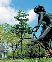 新加坡國家胡姬園門票