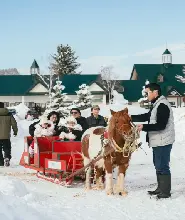 【早鳥優惠】2026.12.1北海道札幌出發：旭山動物園&雪地摩托可選&森林精靈露台&美瑛千代田牧場一日遊